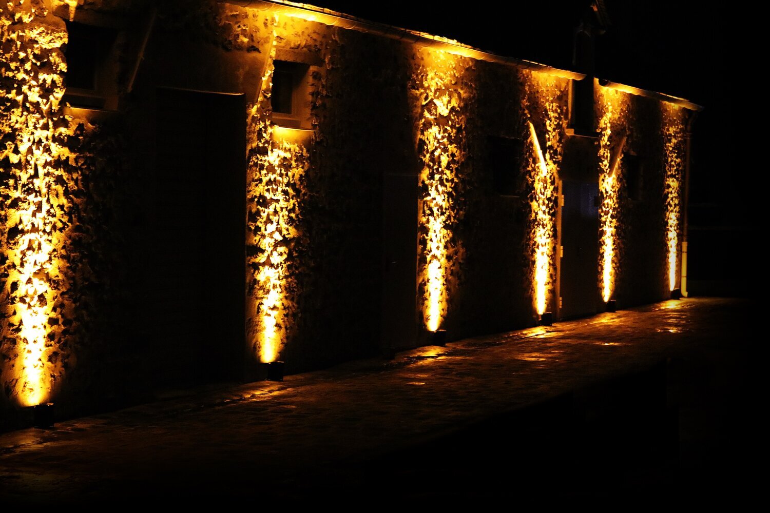 location-de-decoration-lumineuse